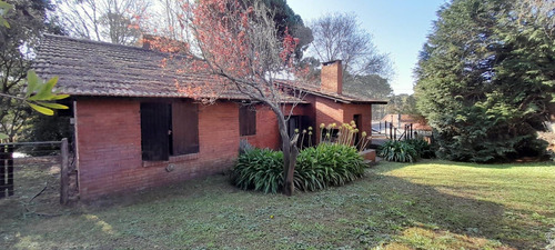 Av.shaw 2449 Alamos Y Espartillo