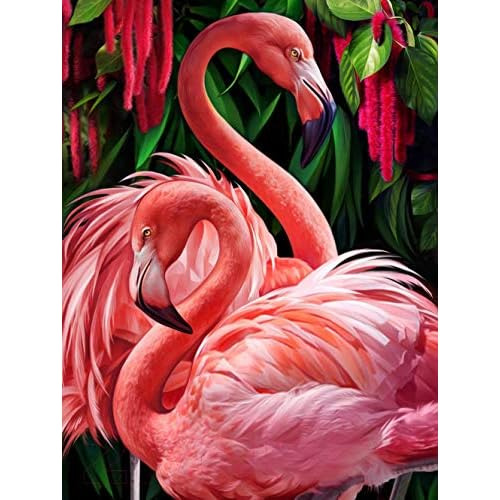 Kit De Pintura De Diamantes Flamingo 5d Taladro Complet...