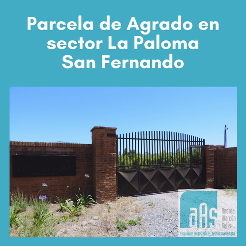 Parcela De Agrado En Venta, Sector La Paloma, San Fernando
