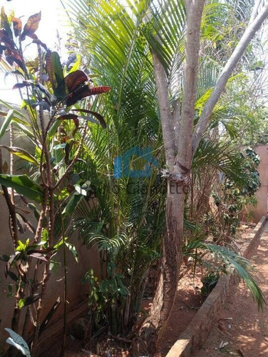 Imagem 10 de 15 de Casa Com Churrasqueira, Forno De Lenha E Quintal Perto Do Proença! - 211