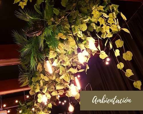 Imagen 3 de 12 de Salón De Fiestas Y Eventos Para Adultos Tipo Pub Cumpleaños