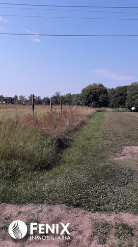Imagen 3 de 7 de Tf548 - Z/ Ituzaingó, Corrientes. Lotes En Venta.