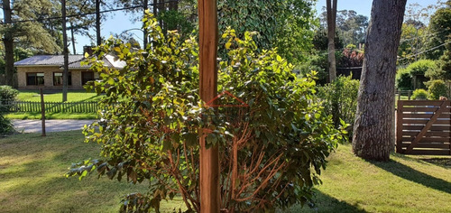 Casa Quinta Vintage En Pinares * 3 Dormitorios- Ref: 5378