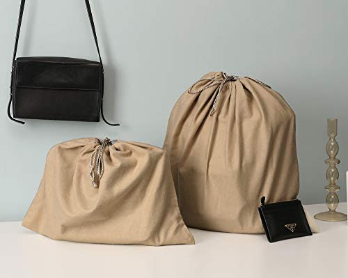 Bolsas De Almacenamiento Plasmaller Con Funda Antipolvo, 100
