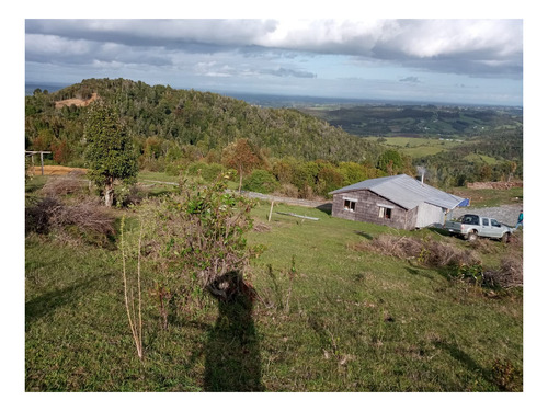 Imagen 1 de 8 de Se Vende Campo De 26.5 Hectareas Sector Los Muermos