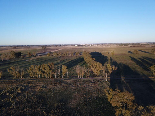 Venta Campo Mixto Sur De La Ciudad De Azul 472 Has. Casa Y 2 Puestos Luz Eléctrica. A 1000m Ruta 3