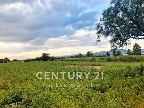 Imagen 6 de 10 de Terreno En Venta La Mejor Oportunidad De Inversion En San Miguel Tlaixpan , Texcoco, Edo. Mex.