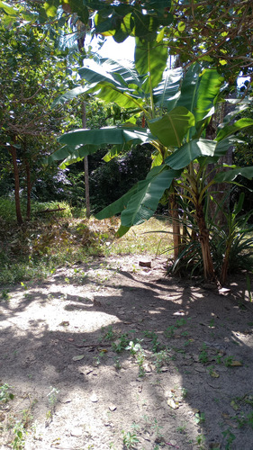 Terreno Com Casa Pequena