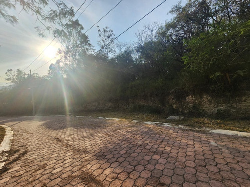 Venta Lote Gladiola 30 Muy Cerca Del Acceso Y En Calle Privada Con Vistas Panorámicas, Todos Los Servicios Y Proyecto Incluído En Fracc Rancho San Diego Ixtapan De La Sal Edomex