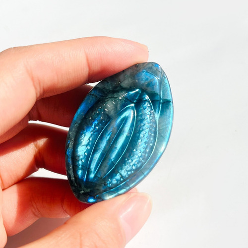 Un Labrador, La Fuente De La Vida: Blue Brilliance Moonstone