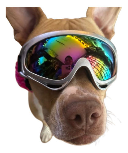 Lentes Para Perros 