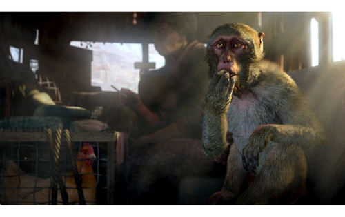 Far Cry 4 Ps4 FĂsico