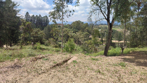 Imagen 4 de 8 de Casa Finca En San Vicente Antes Del Pueblo 3.300mts 450 Mill