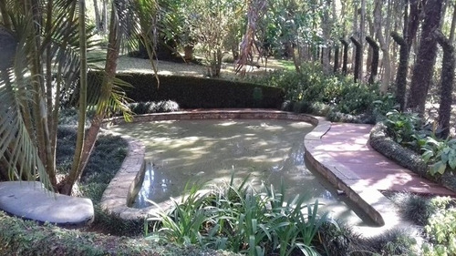 Imagem 6 de 30 de Rural Para Venda, 3 Dormitórios, Biritiba Mirim - Biritiba-mirim - 3942