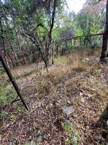 Imagen 5 de 12 de Se Vende Lote De 3416m2 En Agua De Oro! A 100m De La Ruta !