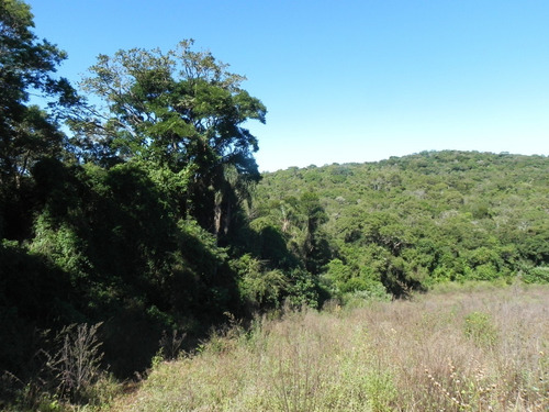 Ig Lotes Em Área Verde - Residencial Caminhos Do Sol