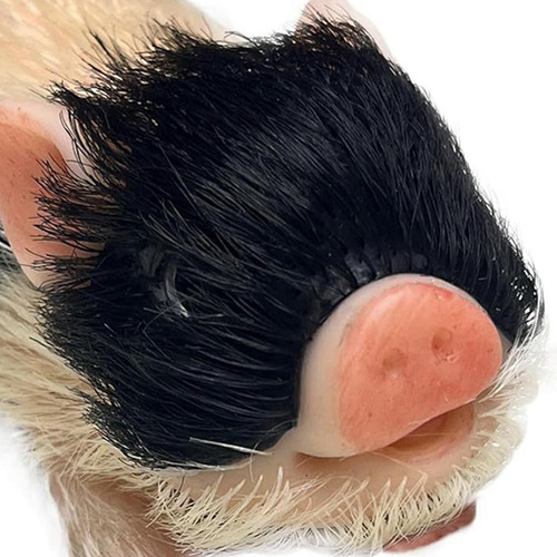 Juguete De Cerdo Reborn En Miniatura, Lindo Muñeco Estilo D