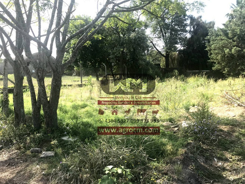 Venta Terreno En Trinidad Flores 300 M2