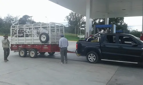Acoplado Jaula 3 Metros Carro Vaquero Trailer Desmontable