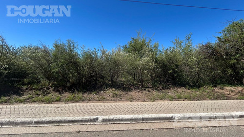 Terreno En Venta / Carpintería - San Luis
