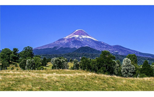 Imagen 8 de 13 de Parcelas De 5.000 M2 A Orillas Del Lago Llanquihue