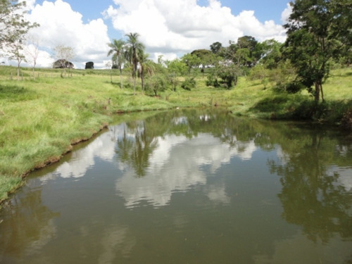 Fazenda À Venda Em Marabá Paulista - Fa00121 - 69026817