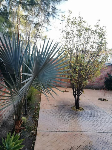 Casa En Venta En Mexticacán, Jalisco