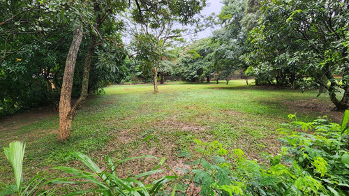 Imagen 3 de 9 de Amplio Terreno En Venta En Cond. Privado Club Campestre