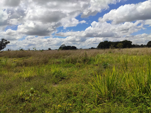 Se Vende Terreno En La Toscana Carreta Nacional Ve02-1246lt-ecam