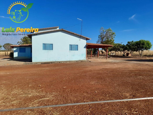 Imagem 8 de 8 de Fazenda À Venda Em Gurupi - To 1.336 Hec - (dupla Aptidão) - 1954