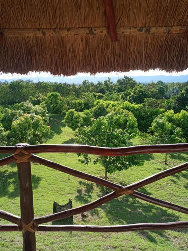 Imagen 24 de 28 de Finca El Ensueño, Ricaurte, Cundinamarca