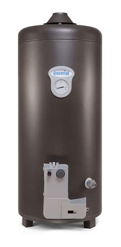Imagen 1 de 7 de Termotanque Multigas Escorial Geisser 80lts Alta Eficiencia
