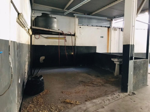 Imagem 28 de 30 de Loja Em Vila Matias, Santos/sp De 1300m² Para Locação R$ 35.000,00/mes - Lo988244-r