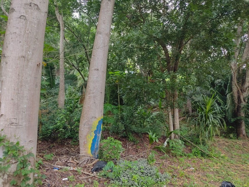 Imagen 11 de 12 de Terreno En San Pancho