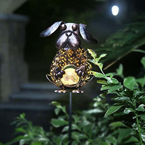 Luces Solares Kaixoxin Para Jardín, De Metal, Diseño De Perr