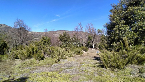Imagen 27 de 30 de Susana Aravena Propiedades Terreno - San Martin De Los Andes