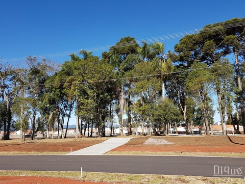 Imagem 9 de 11 de Lote Residencial - São José Dos Pinhais - Te0139 - Te0139 - 32933966