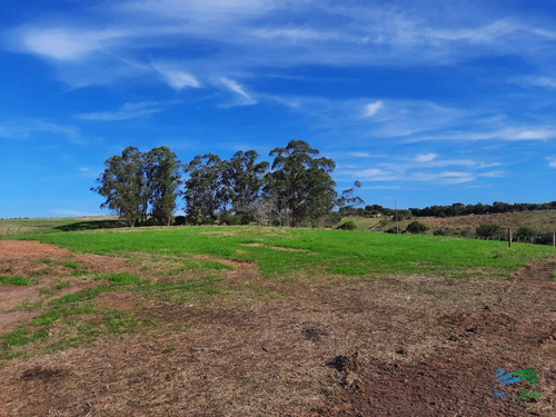 Imagen 6 de 15 de 143 Has Muy Completas Y Muy Buen Campo Ganadero - Rural