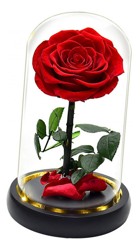Rosa En Cúpula De Cristal, Regalos De Agradecimiento Para