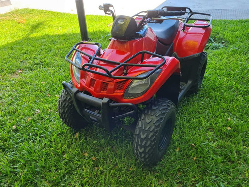 Arctic Cat 300 300 Parrillero