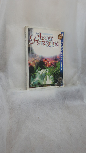 Livro Série Luar Peregrino 4 - O Passado E O Futuro - Wilson Frungilo Jr. - Editora Ide (Usado)