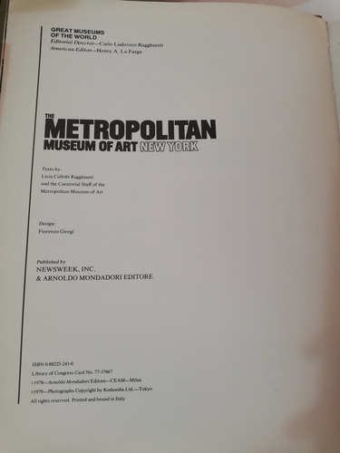 Metropolitan Museum Of Art New York (Usado)