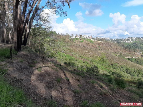 Imagen 8 de 12 de Venta De Terreno En San Antonio De L Altos Club De Campo Rz