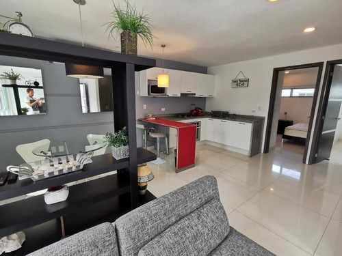 Imagen 4 de 11 de Departamento En Venta En Playa Car Fase Ii