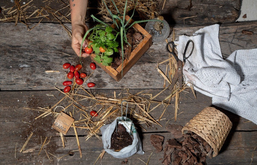 Imagen 5 de 5 de Kit Jardinería Primera Huerta Orgánica