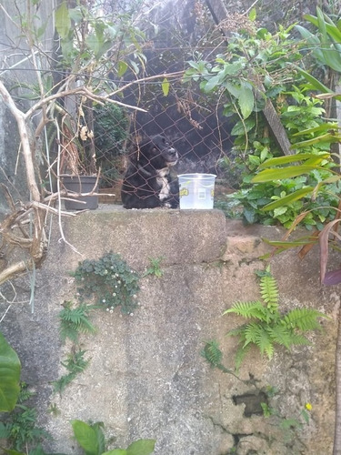 Imagem 24 de 29 de Terreno Para Venda, 0.0 M2, Piqueri - São Paulo - 2628
