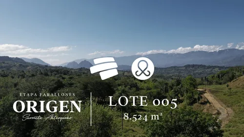 Origen Suroeste Antioqueño Lote 05