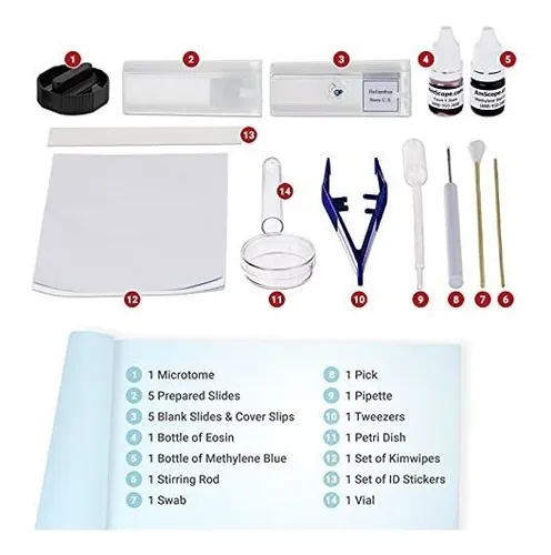 Kit Preparación Portaobjetos Microscopio Con Tintes