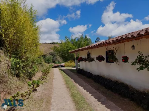 Grandiosa Finca Con Cultivos De Aguacate Hass(mls#247937)