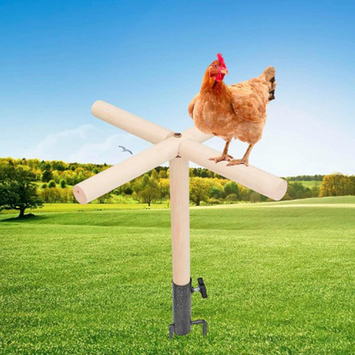 Juguete De Percha Para Pollo, Accesorios Para Gallinero,l